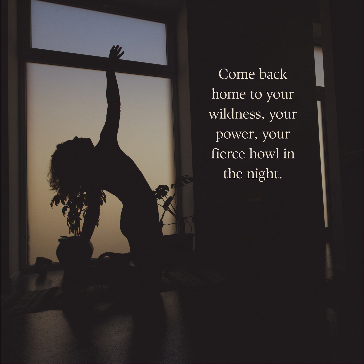 SHEWOLF: Awaken the Wild Woman Within | Self-Paced Women’s Embodiment Course