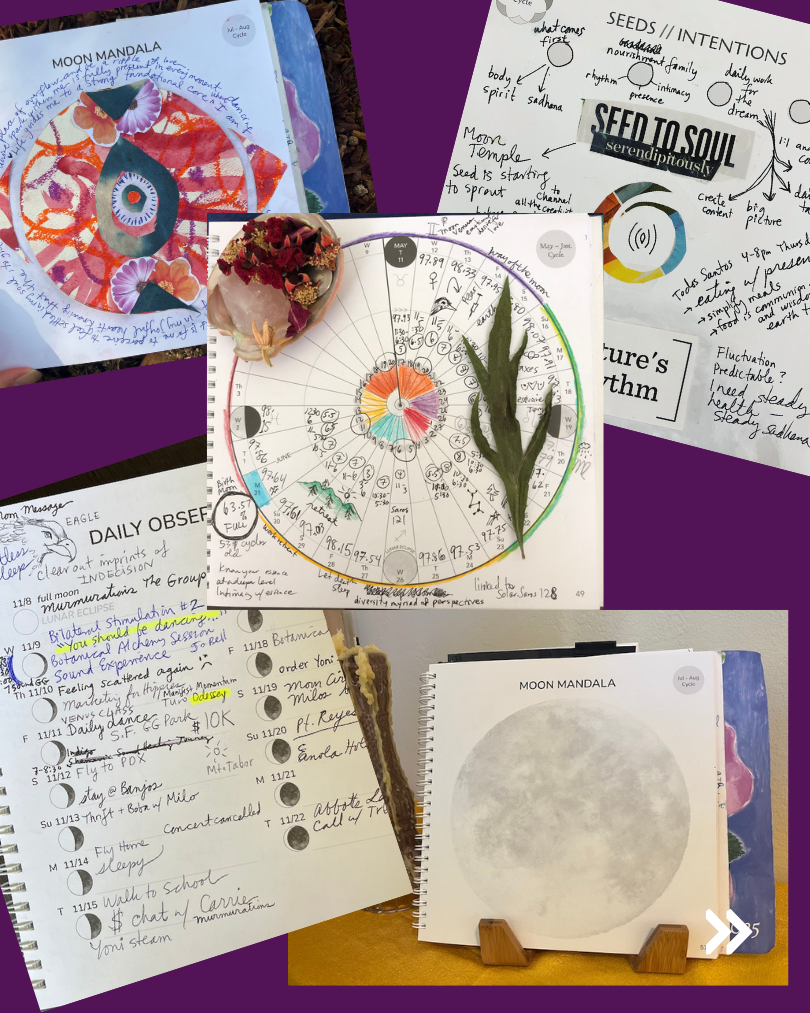 Lunation Journal 2026