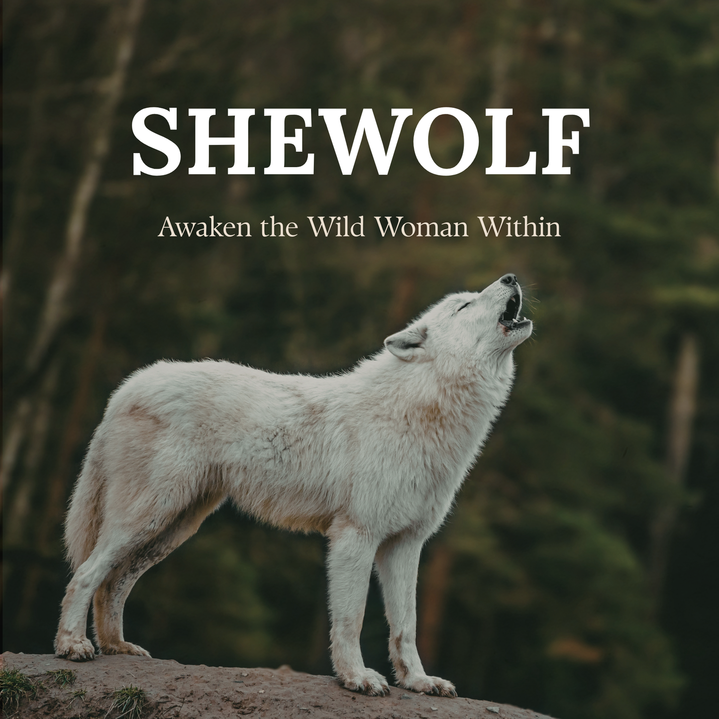 SHEWOLF: Awaken the Wild Woman Within | Self-Paced Women’s Embodiment Course